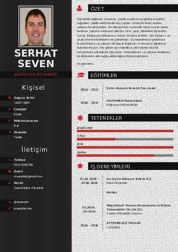 Bilgisayar Mühendisi CV Örnekleri cv indir